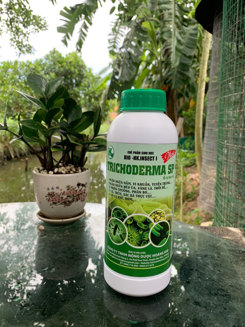 Trichoderma/Trichoderma nước/trichoderma nuoc/nam doi khang/nấm đối kháng/men ủ trichoderma/men u rac/men u phan