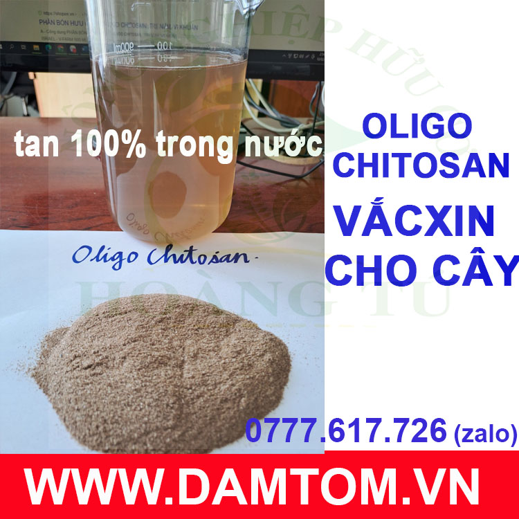 PHÂN OLIGO Chitosan- Dạng Bột (Gói 500gram)
