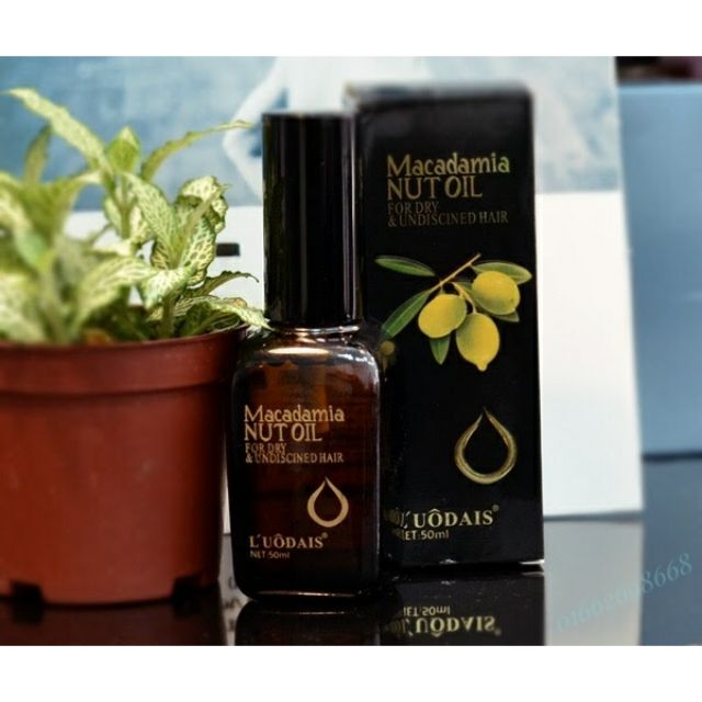 Tinh Dầu Dưỡng Tóc Macadamia 50ml