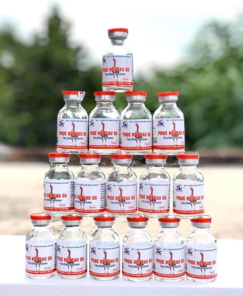 Phục Hồi gà sau Đá Trường Khánh