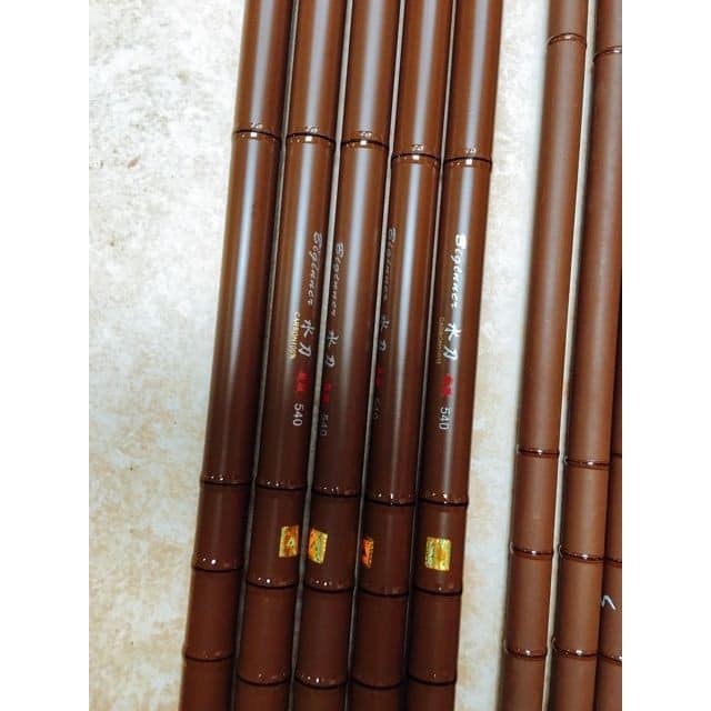 Cần câu tay cacbon biginner 4m5