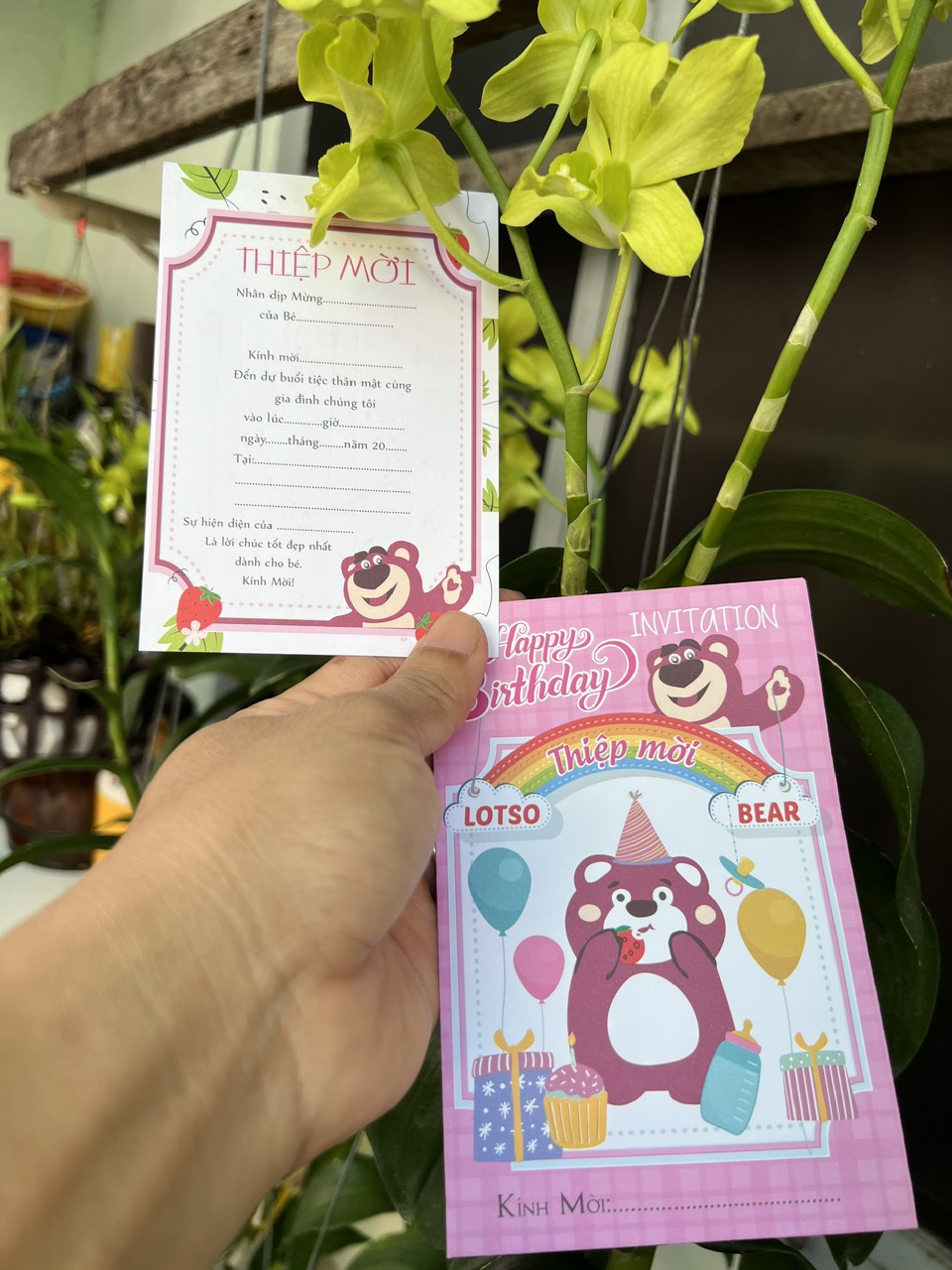 Combo 30 thiệp sinh nhật Gấu Dâu Lotso