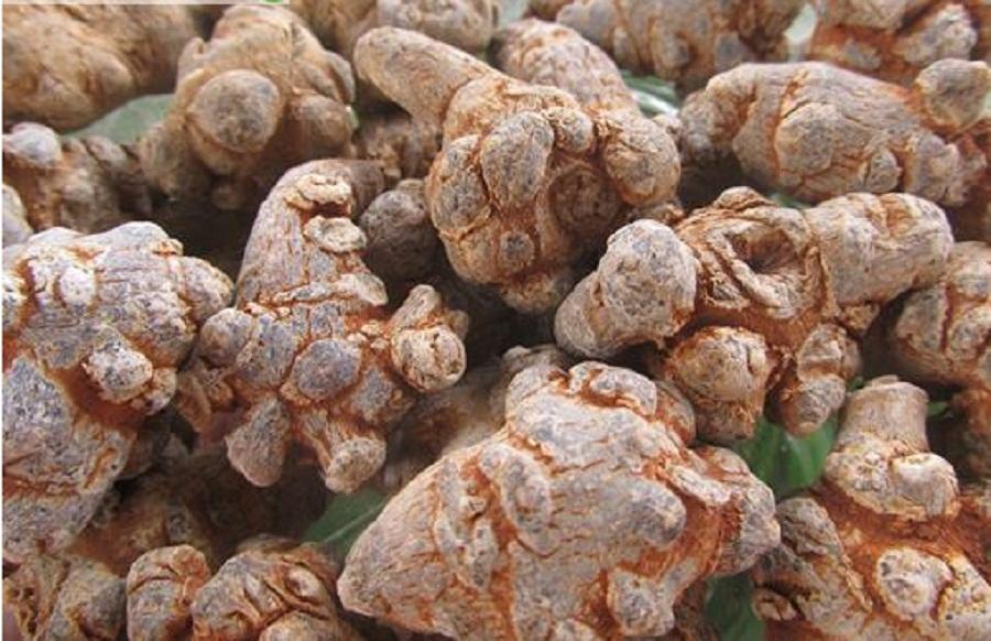 100 g Củ Tam Thất Bắc Khô
