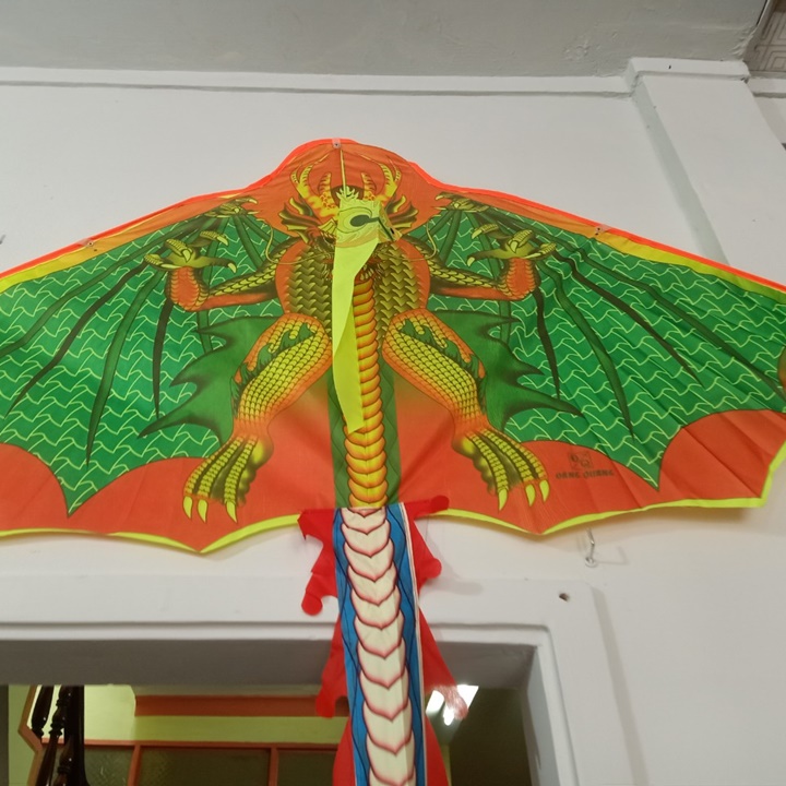 Diều khủng long đại