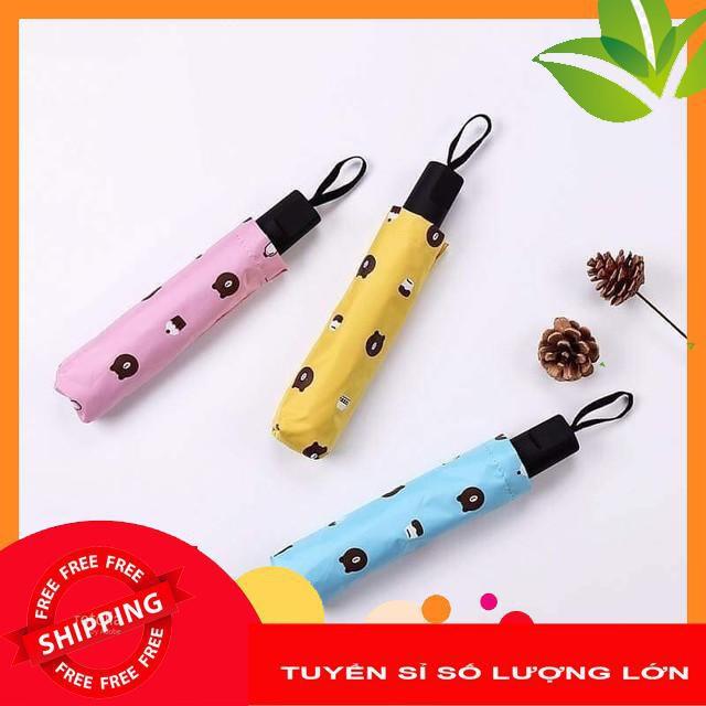 hot Ô gấu Brown gấp gọn