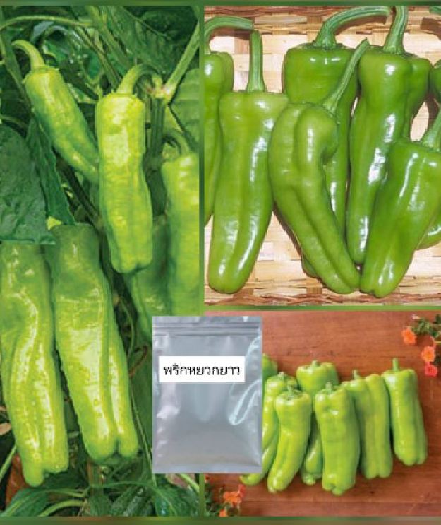 Hạt giống ớt đùi gà Thái Lan F1 - ( 0.5gram tầm 75 hạt)