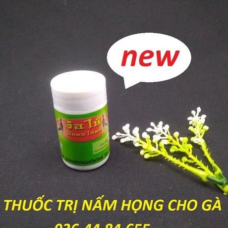 Nấm họng bột cho gà  [1 lọ 10gram ] - nấm họng- đẹn hong -- nấm bầu diều nhanh hiệu quả cho gà đá