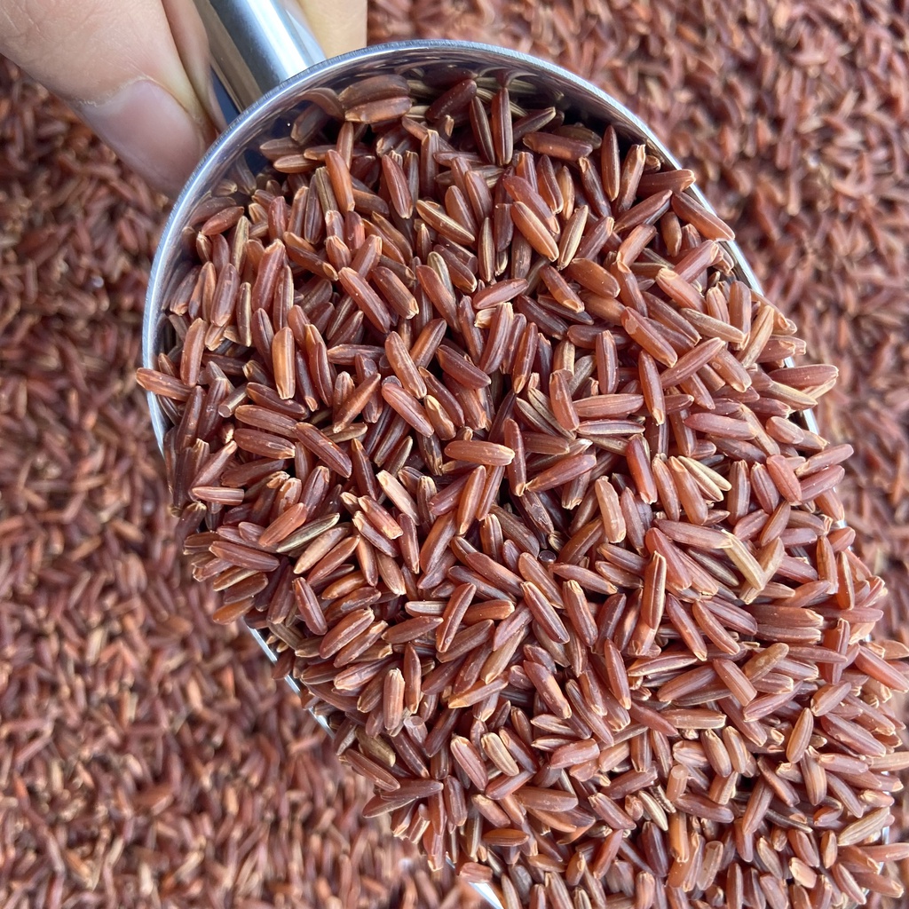 Gạo Lứt Huyết Rồng Hữu Cơ - AnMun [500gr]