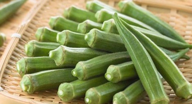 50 Hạt giống Đậu bắp xanh cao sản tặng kèm kích mầm
