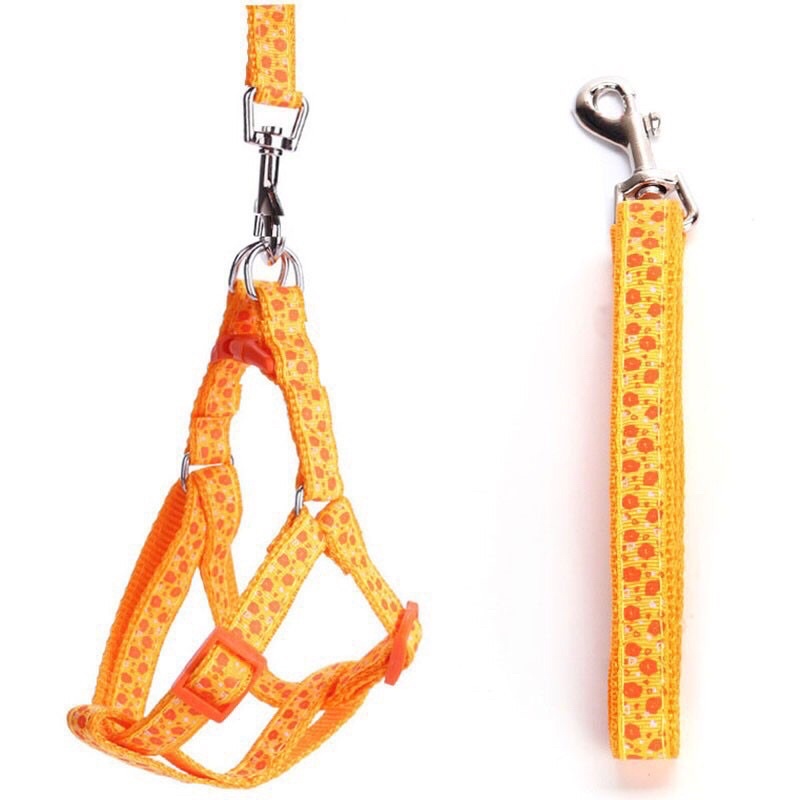 Dây Dắt Yếm Cho Chó Mèo Bảng 1Cm