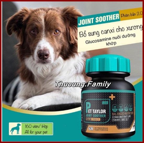 [HCM]Hộp Canxi- Vitamin bổ sung khoáng chát giúp xương khớp chắc chắn dành cho Chó. Pet Taylor. Hộp 160v