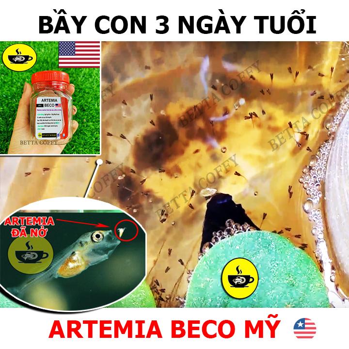 Chất tạo màu ĐỎ cho cá cảnh BIOFILL RED - BETTA COFFY ☕️