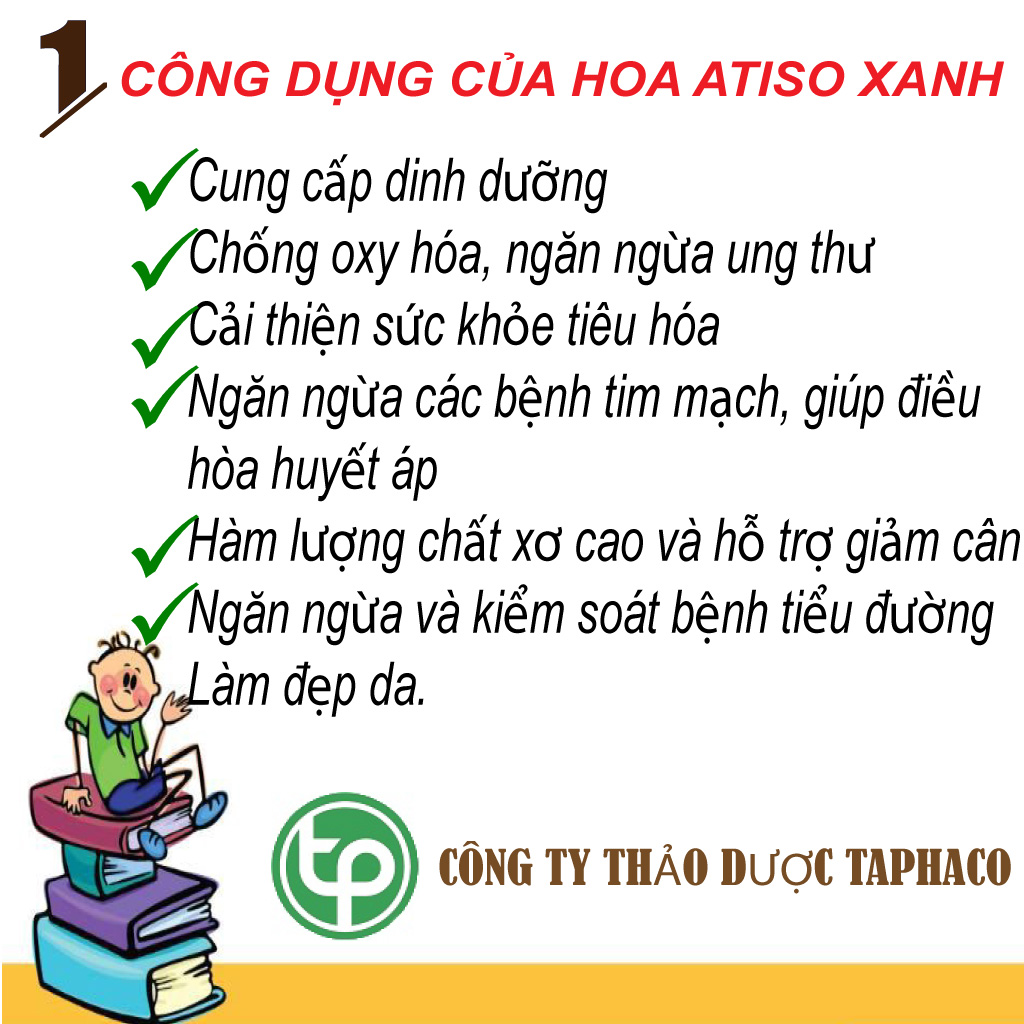 Hoa atiso sấy khô 500g - Thảo Dược Tấn Phát