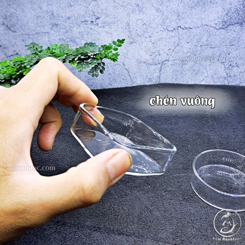 Chén tép | chén chứa thức ăn cho cá tép cảnh | chén cho cá tép ăn không bị dơ nền
