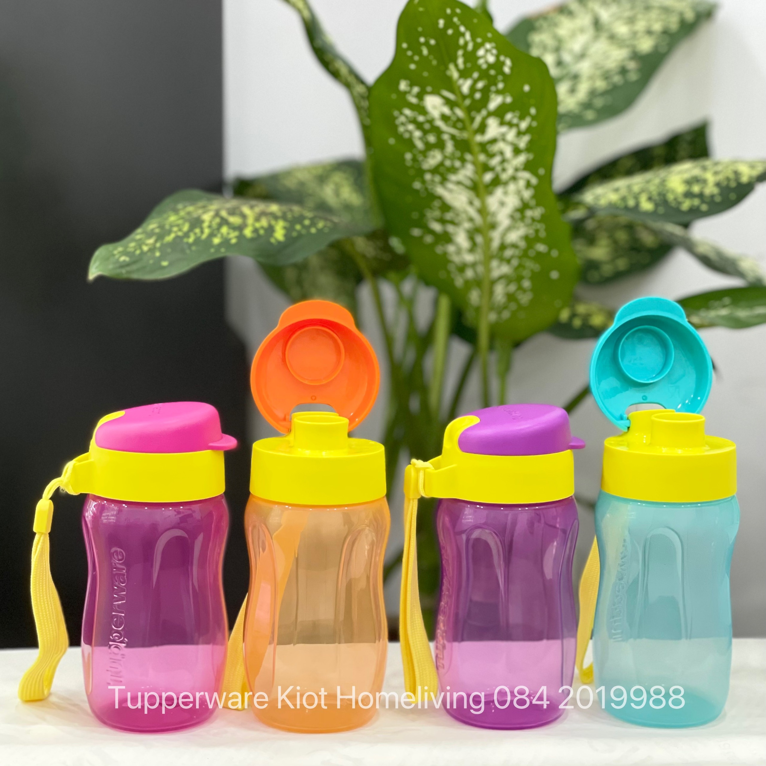 Bình Nước Tupperware Eco 310ml - Tupperware Mall Chợ Lớn