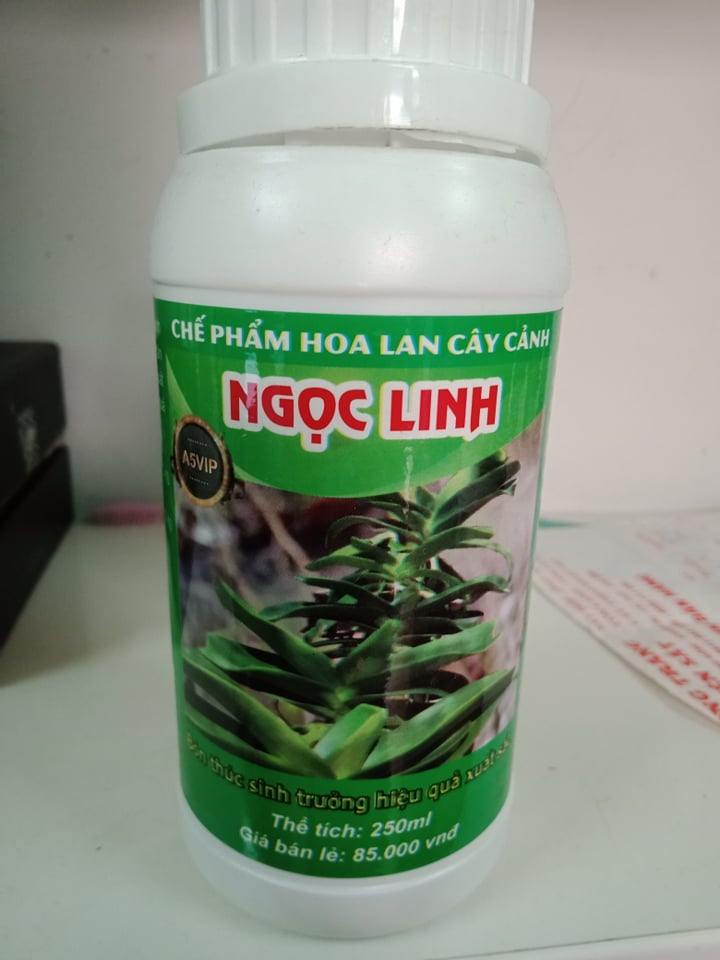 Bộ chăm var Chế Phẩm Ngọc Linh