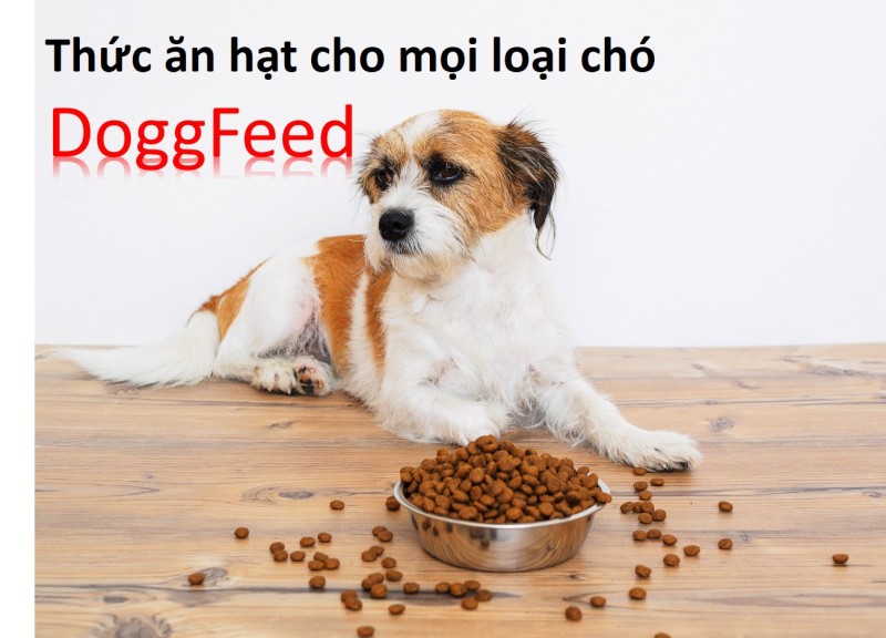 (Gói chiết) DoggFeed Hương vị Thịt bò Thức ăn hạt cho mọi loại chó