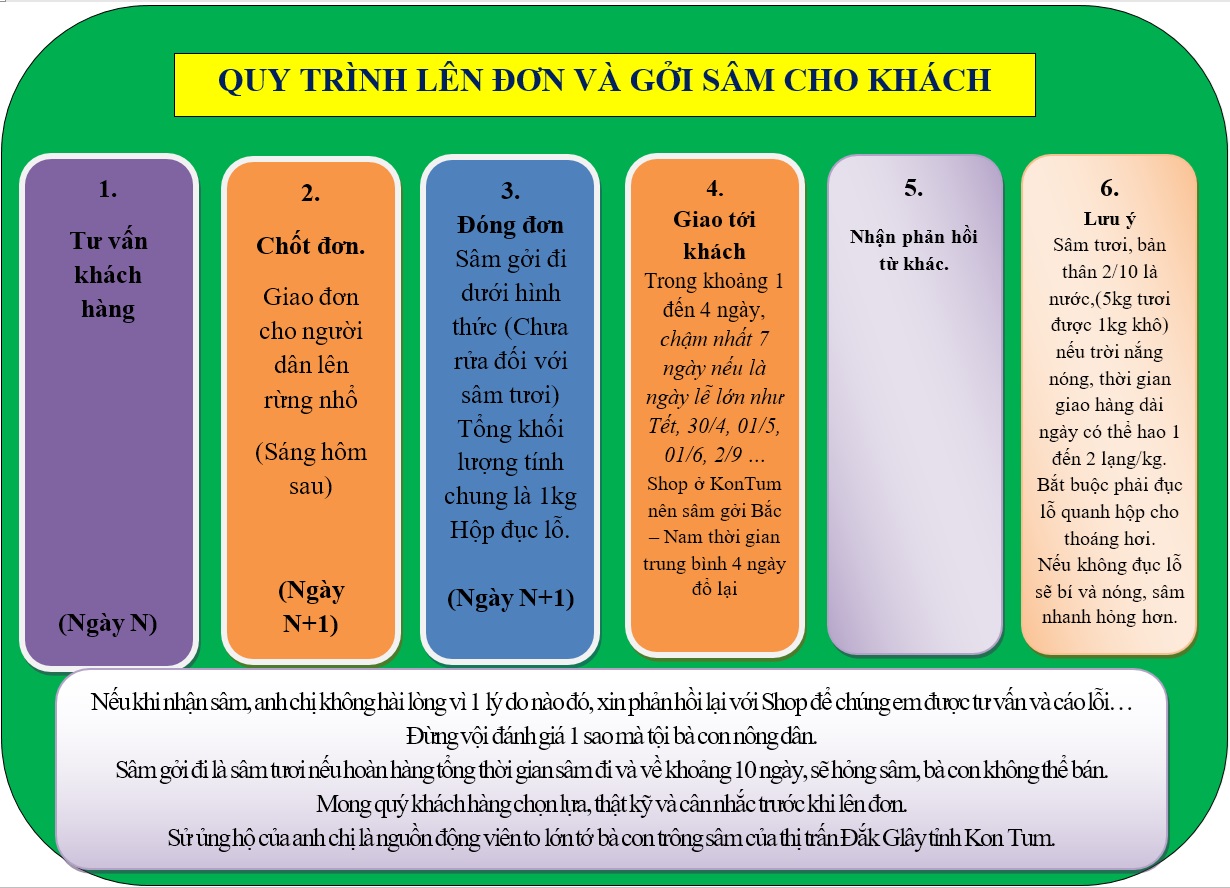 Sâm dây Ngọc Linh _ Đẳng sâm kontum