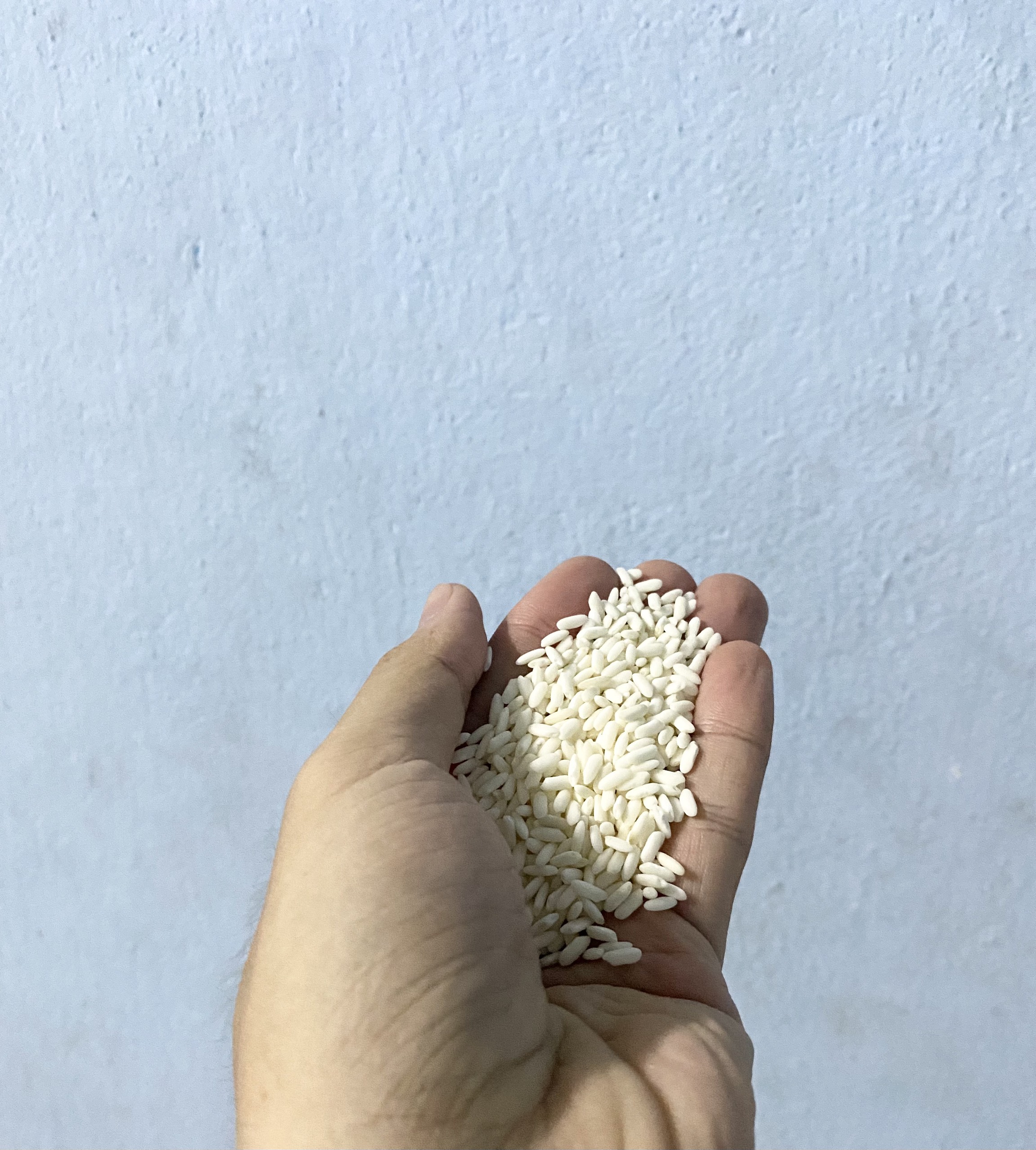 Nếp cái hoa vàng 1kg