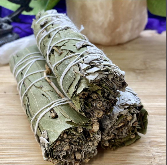 Xô Bạch Đàn - Eucalyptus - Thảo Mộc Xông Nhà
