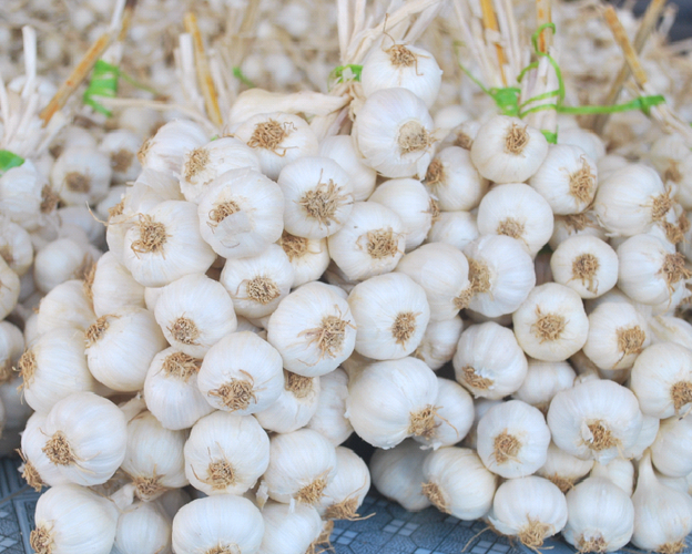 1 Kg tỏi Lý Sơn