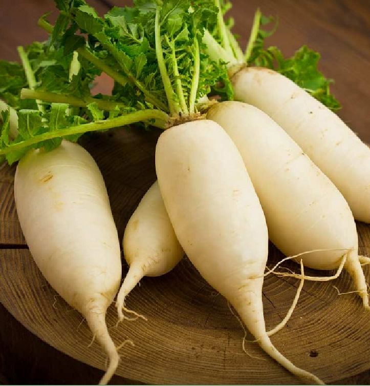 Túi 20 Gram Hạt giống củ cải trắng