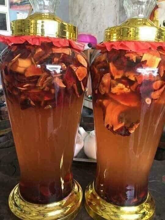 Cây Mú Từn 1kg