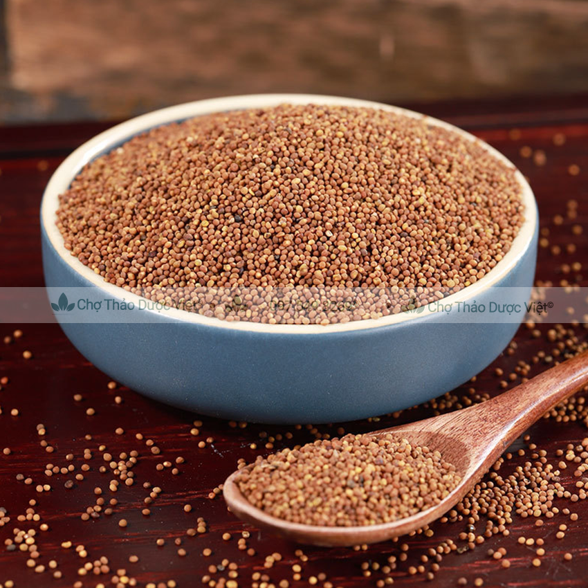 Thỏ ty tử 100g, khô, vàng, sạch, hỗ trợ bổ can thận, mạnh gân cốt, tăng cường sinh lý nam
