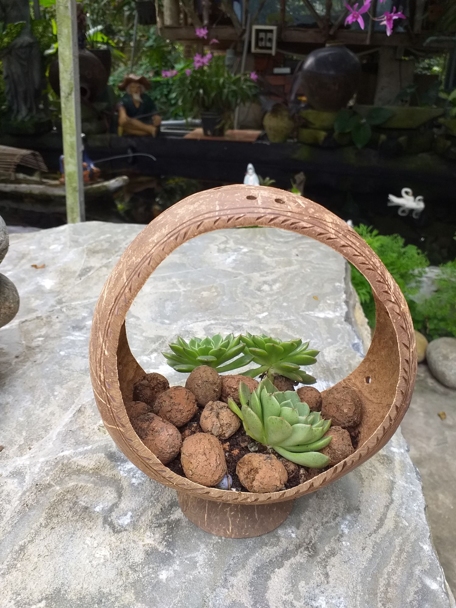 Chậu gáo dừa cắt 2 miệng có đế