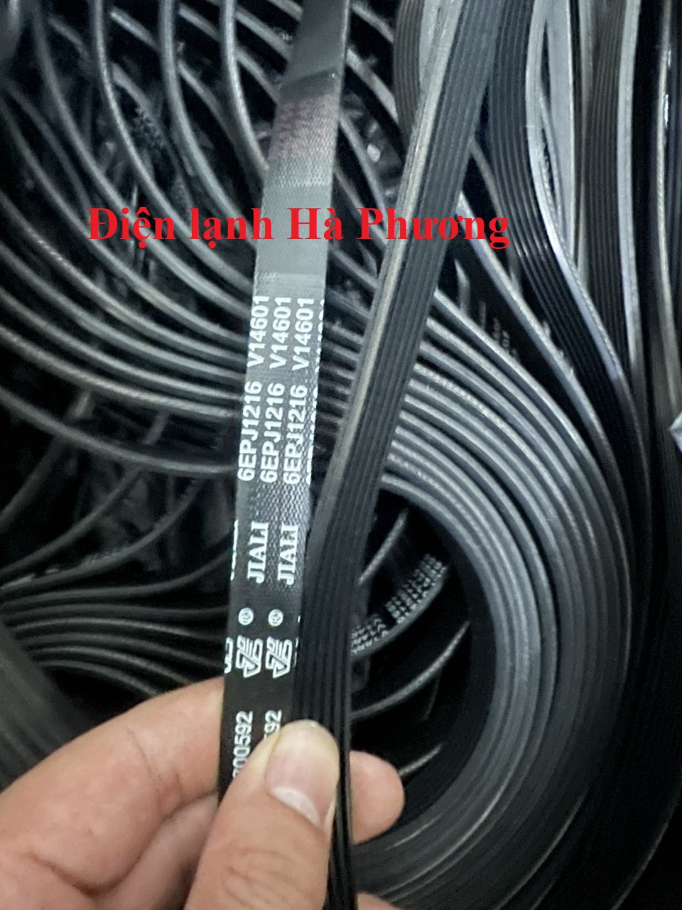Dây curoa máy giặt aqua - sanyo 6epj 1216 - f55