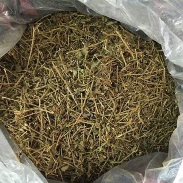 Cà Gai Leo sấy khô 100g