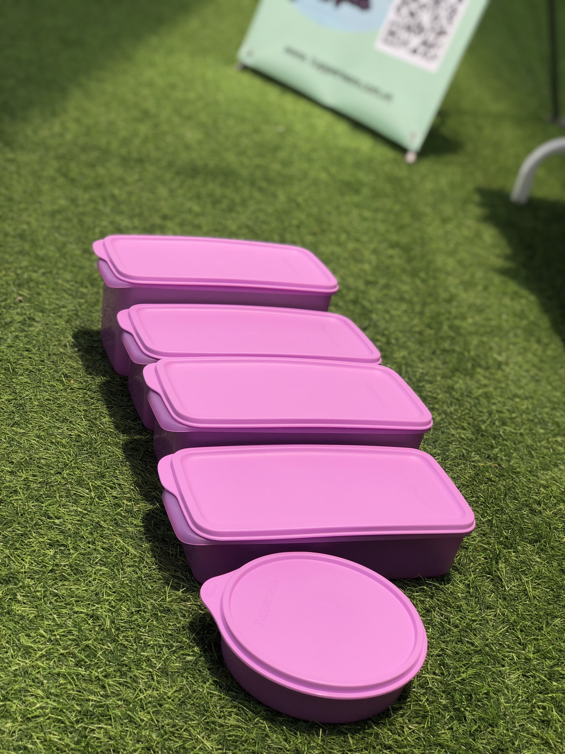 Bộ hộp trữ mát Tupperware Freshia tím (Set 5)