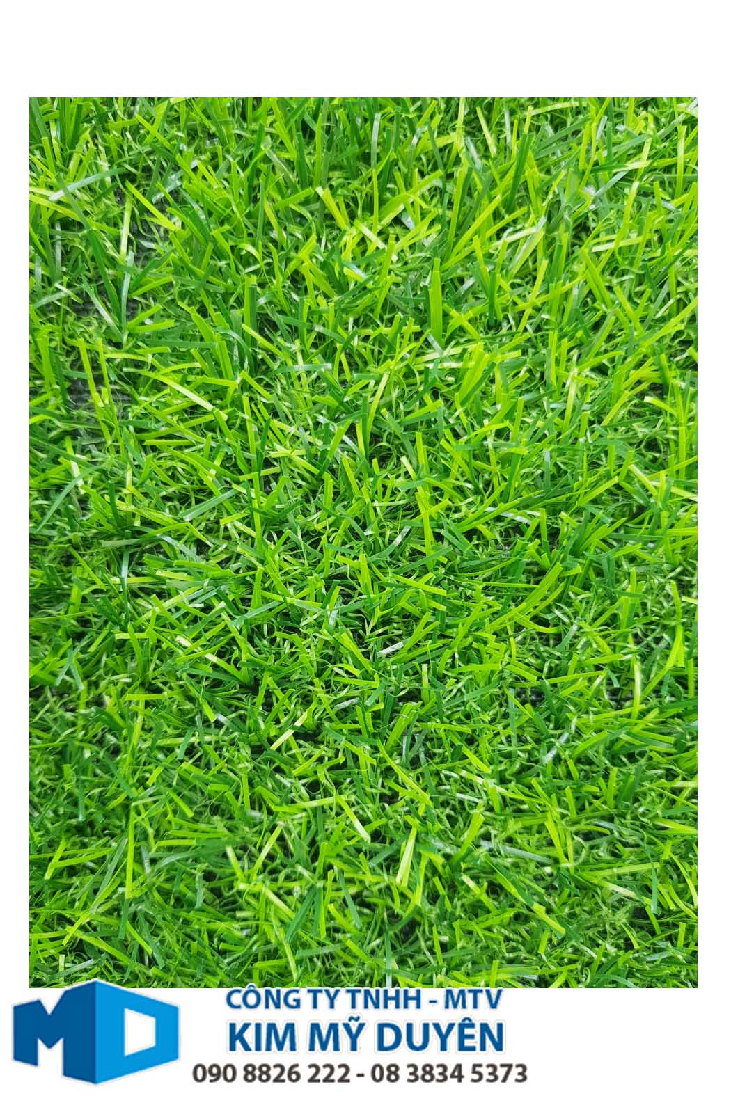 [HCM]Thảm cỏ nhân tạo