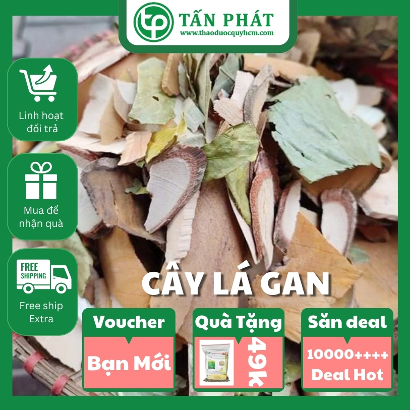 [Hàng mới về] Cây lá gan khô túi lớn 500gram  - Tấn Phát - Hỗ trợ cải thiện sức khoẻ cực kỳ hiệu quả
