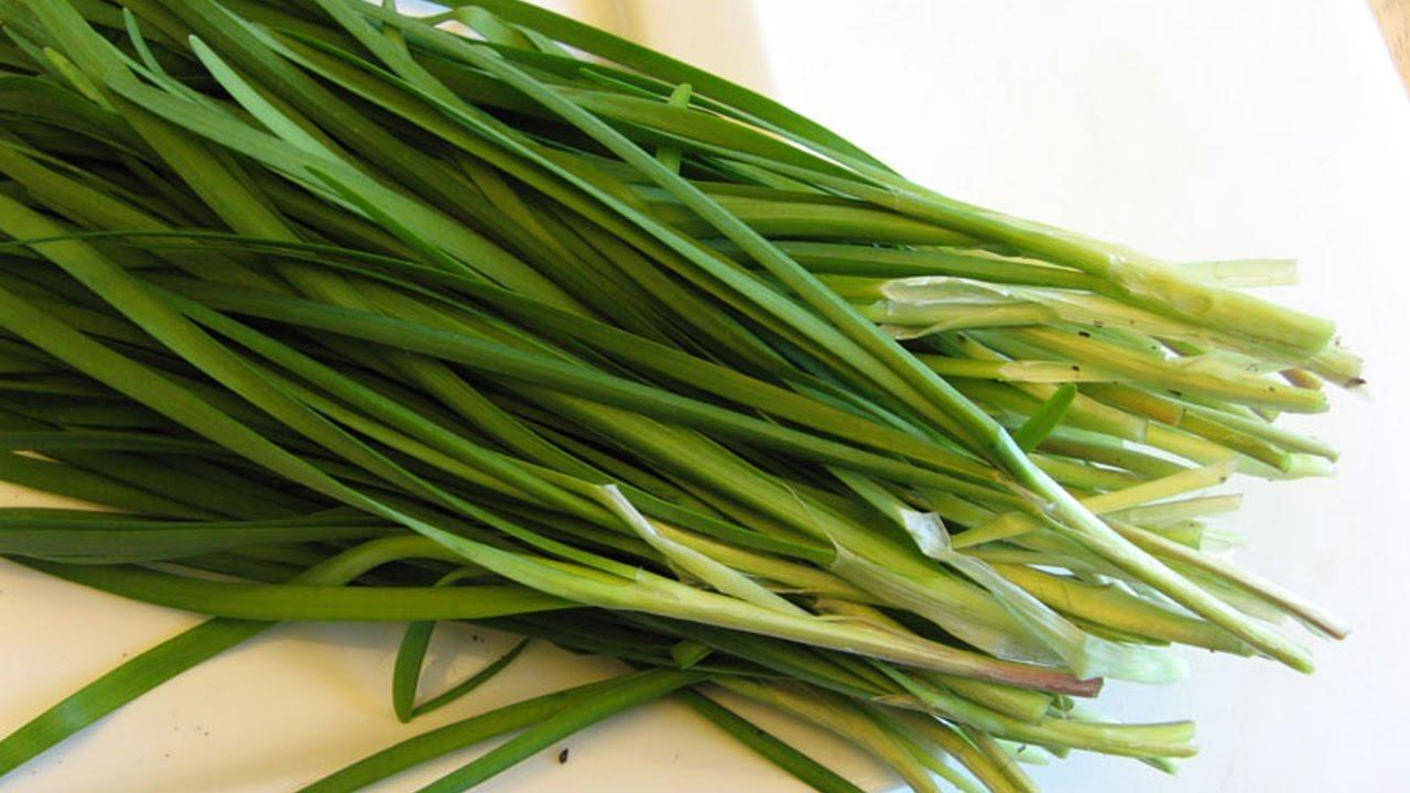 Gói 1g hạt giống hẹ cao sản