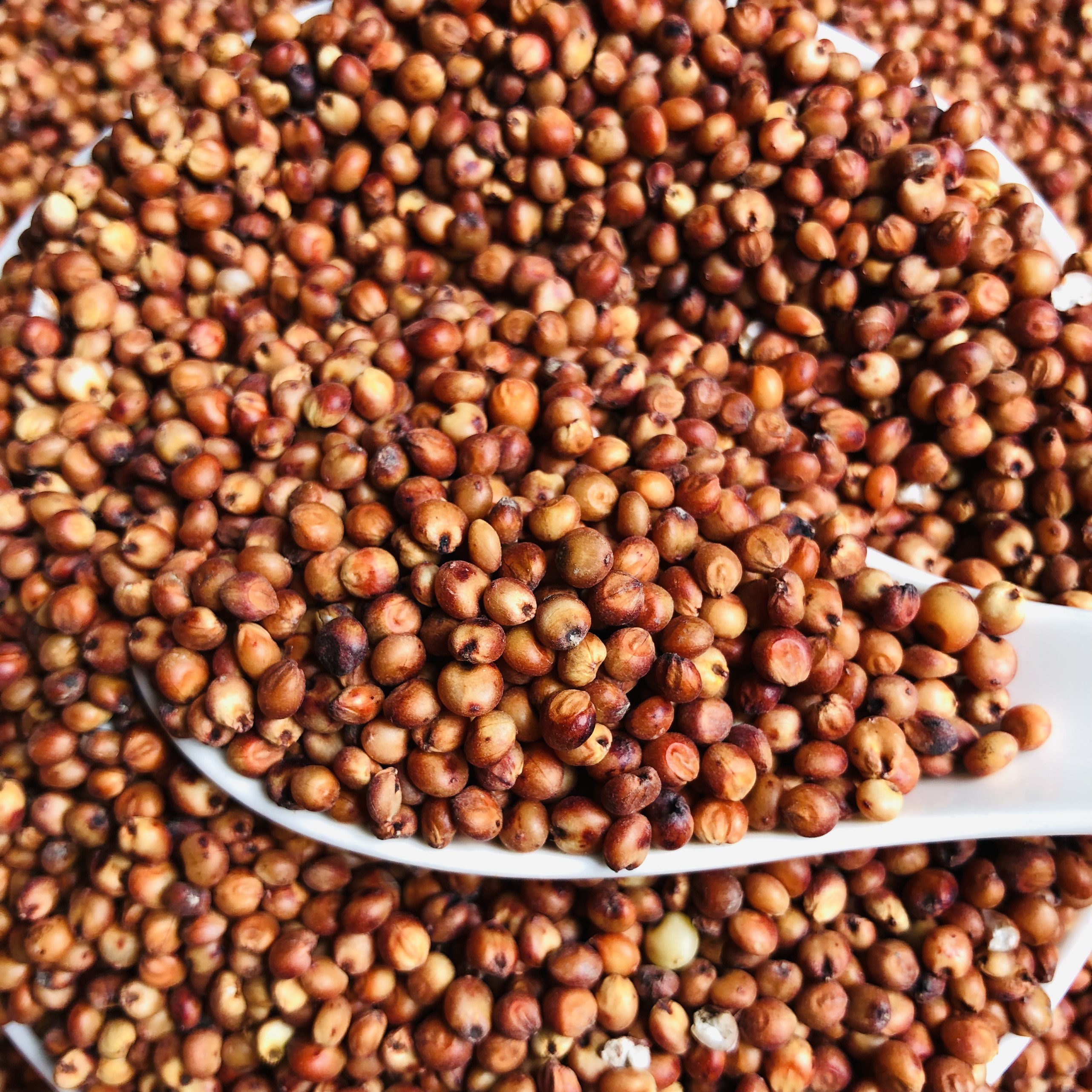 1kg hạt Bobo đỏ  , Ý Dĩ ( thức ăn yêu thích gà đá, chim cảnh... )