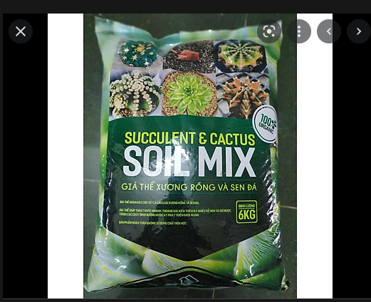 Đất Trồng Xương Rồng Và Sen Đá Soil Mix ( Túi 6Kg )