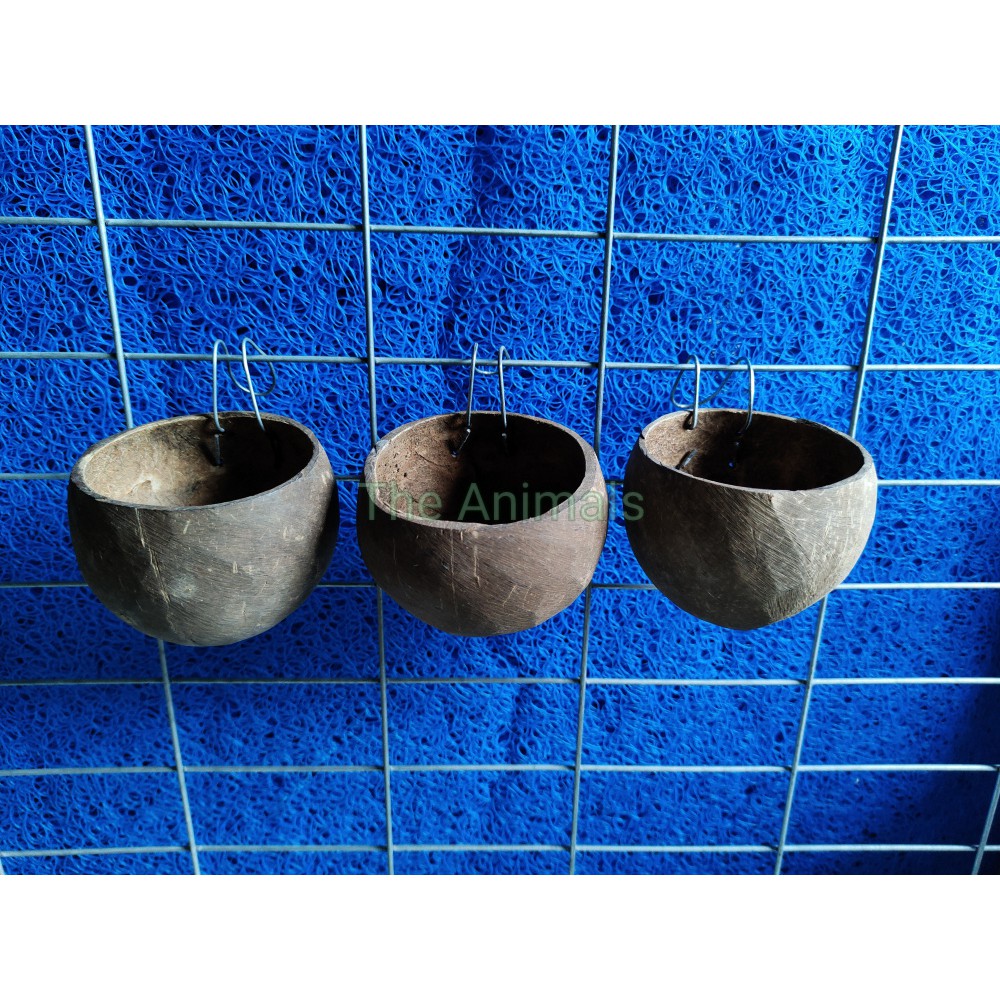 [HCM][Combo 3 cái] cóng đựng thức ăn nước uống cho chim vẹt