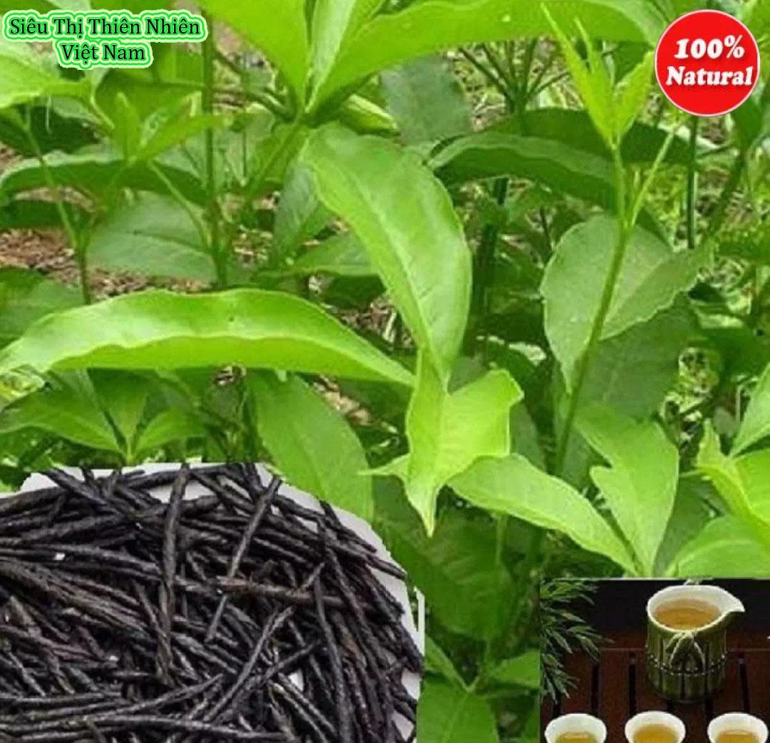 Chè Đắng Cao Bằng - Thảo Lộc 300gr Bấm theo dõi shop nhận ngay voucher 5% không điều kiện