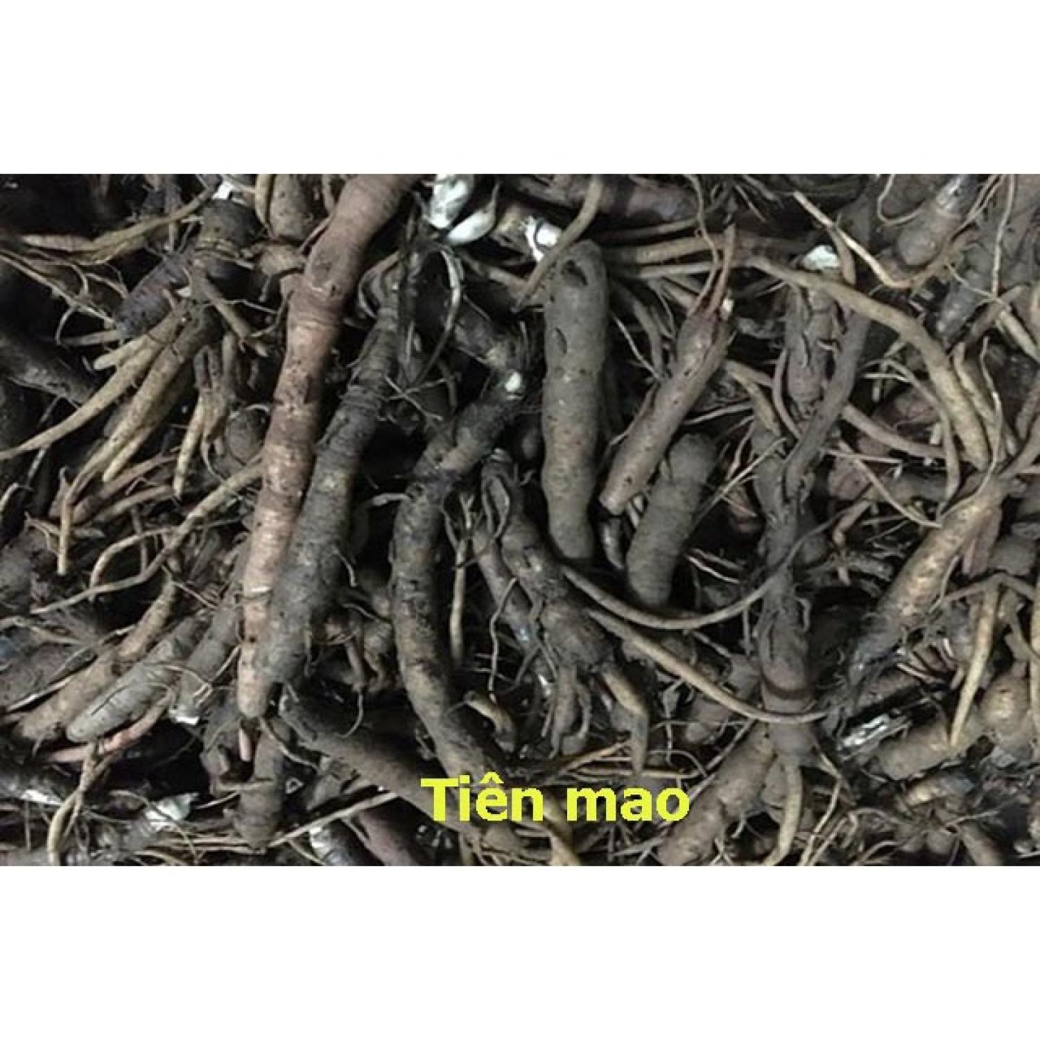 Sâm Cau Đen khô (sâm tiên mao) 1kg