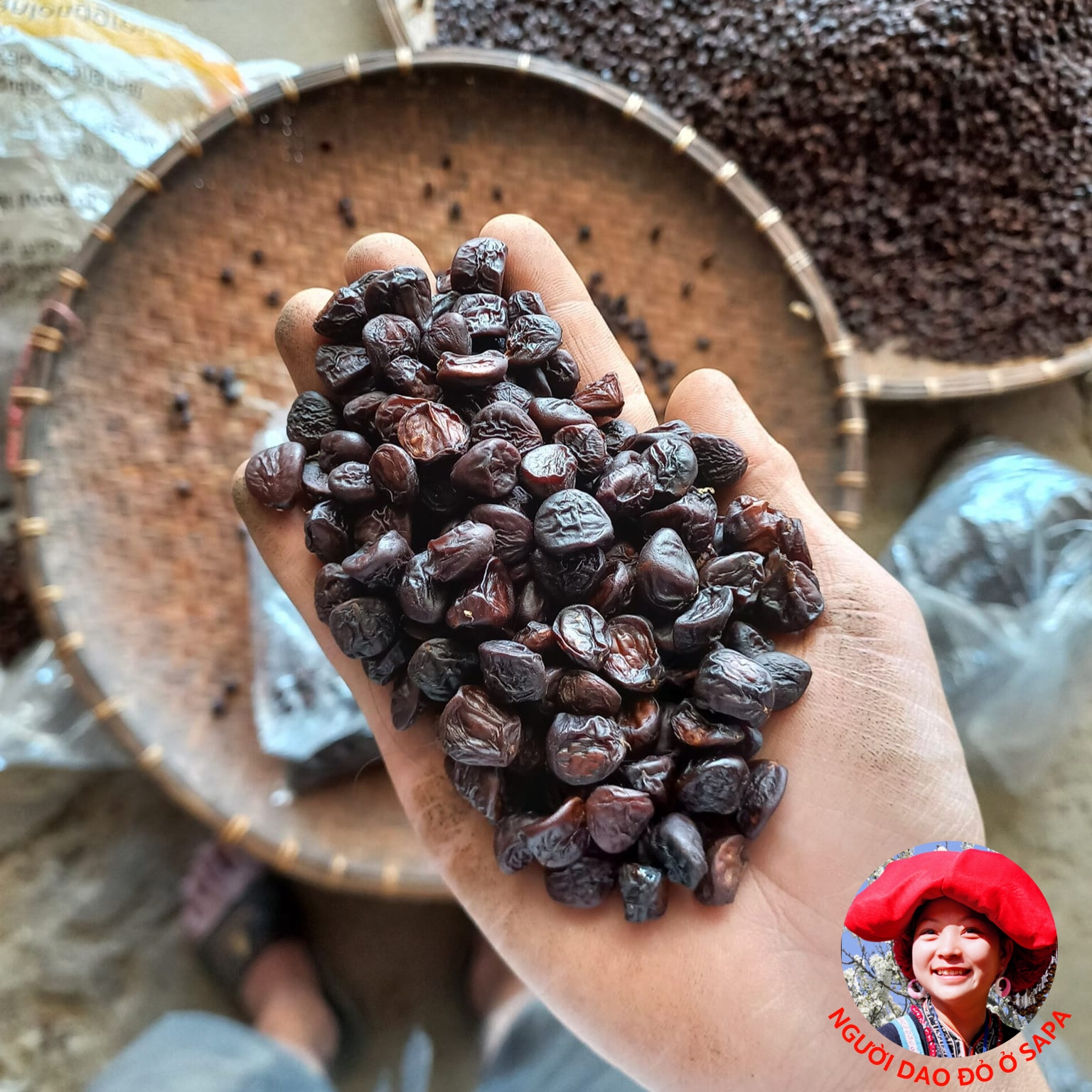Hạt dổi nếp rừng tây bắc lᴏại 1, gói 50g , gói 100g . gia vị mắc khén xay, hạt dổi, hạt dỗi, hạt rổi 1kg