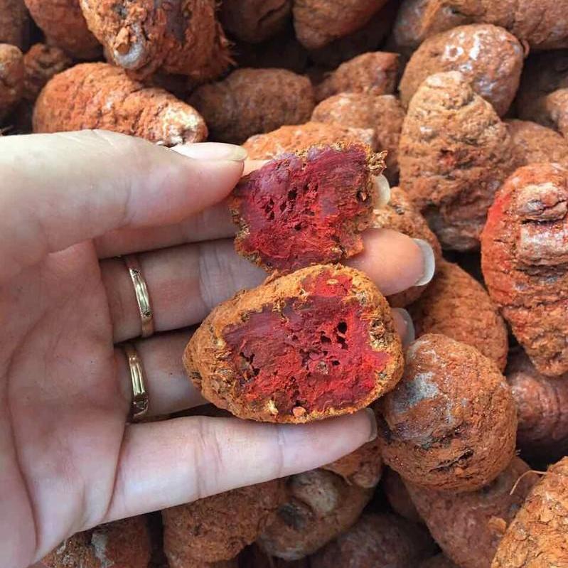 NGHỆ ĐỎ VÔ GÀ ĐÁ NGUYÊN CHẤT 100% ( KL 100 GRAM )