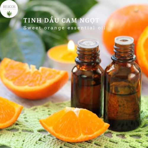 Tinh dầu Cam Ngọt nguyên chất Ấn Độ