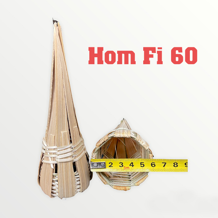 Combo 50. Hom lươn TRE 34 SIÊU ĐẸP