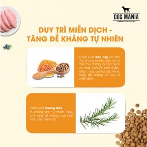[DATE MỚI] THỨC ĂN HẠT CHO CHÓ MỌI LỨA TUỔI DOG MANIA PREMIUM 5KG