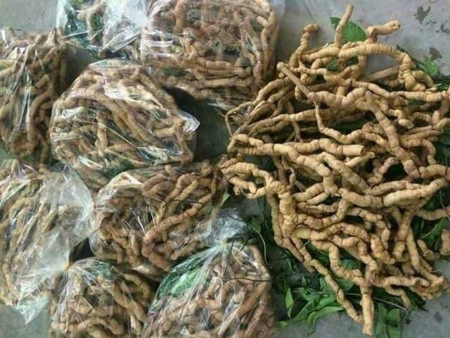 Ba kích tím loại I Quảng Ninh 1kg