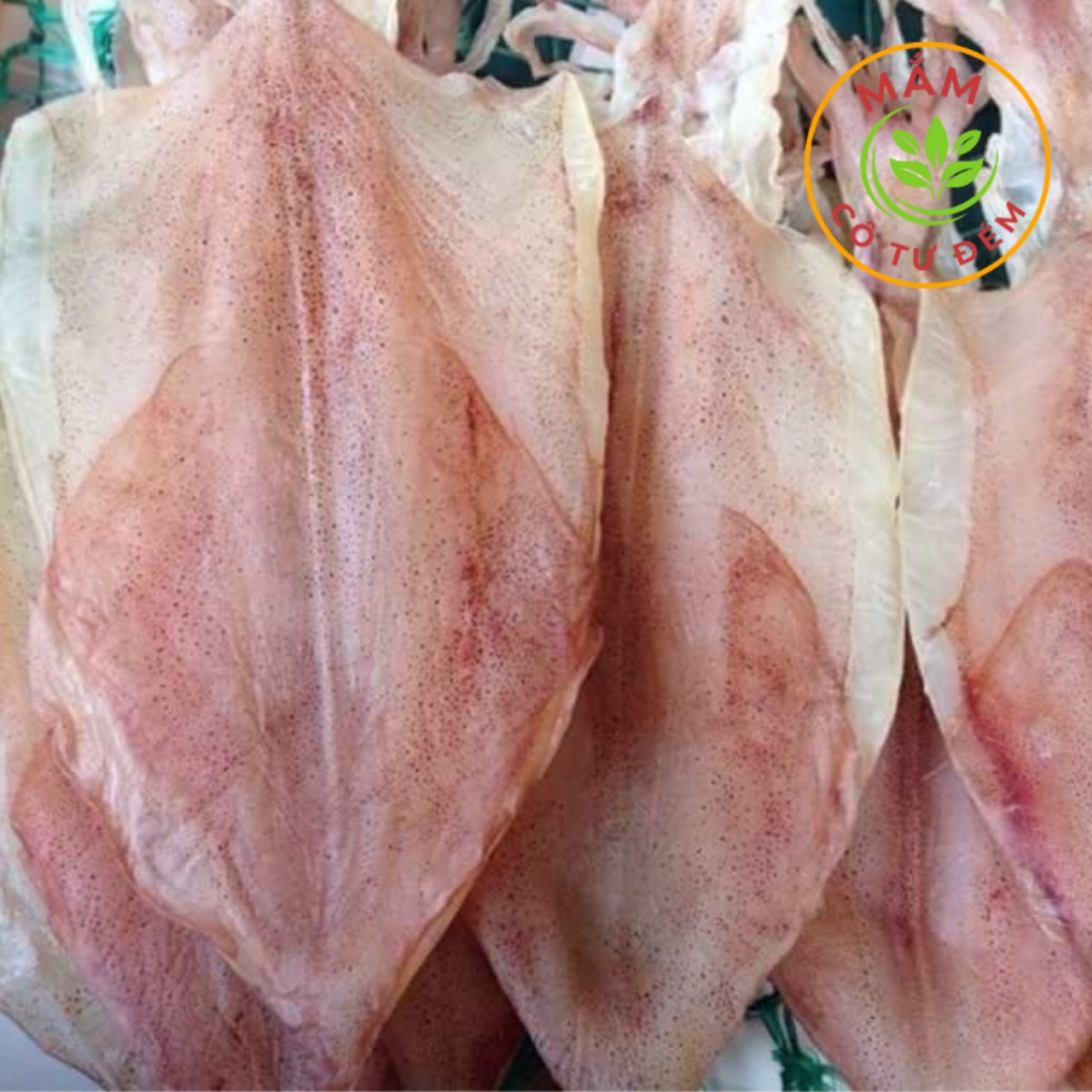 Mực khô loại 50 con 1kg