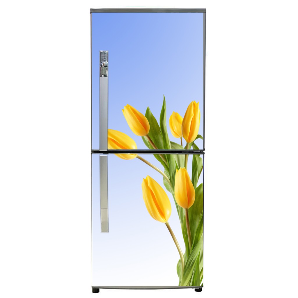 [HCM]Decal dán trang trí tủ lạnh mẫu hoa tulip 1
