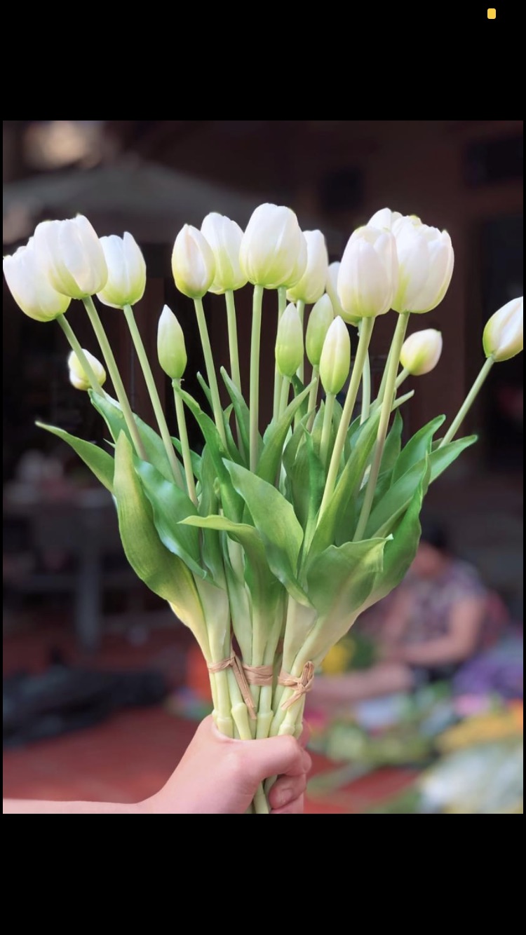 Bó hoa tulip cao cấp 3 bông 2 nụ