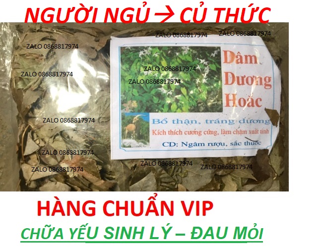 4BỘ LÁ DÂM DƯƠNG HOẮC NÚI CAO NAM TRIỀU-BỔ THẬN-TRÁNG DƯƠNG-TRI. ĐAU LƯNG-NHỨC MỎI-MẤT NGỦ-SINH LY' NAM/NỮ-YÊU' LDDH 2.3